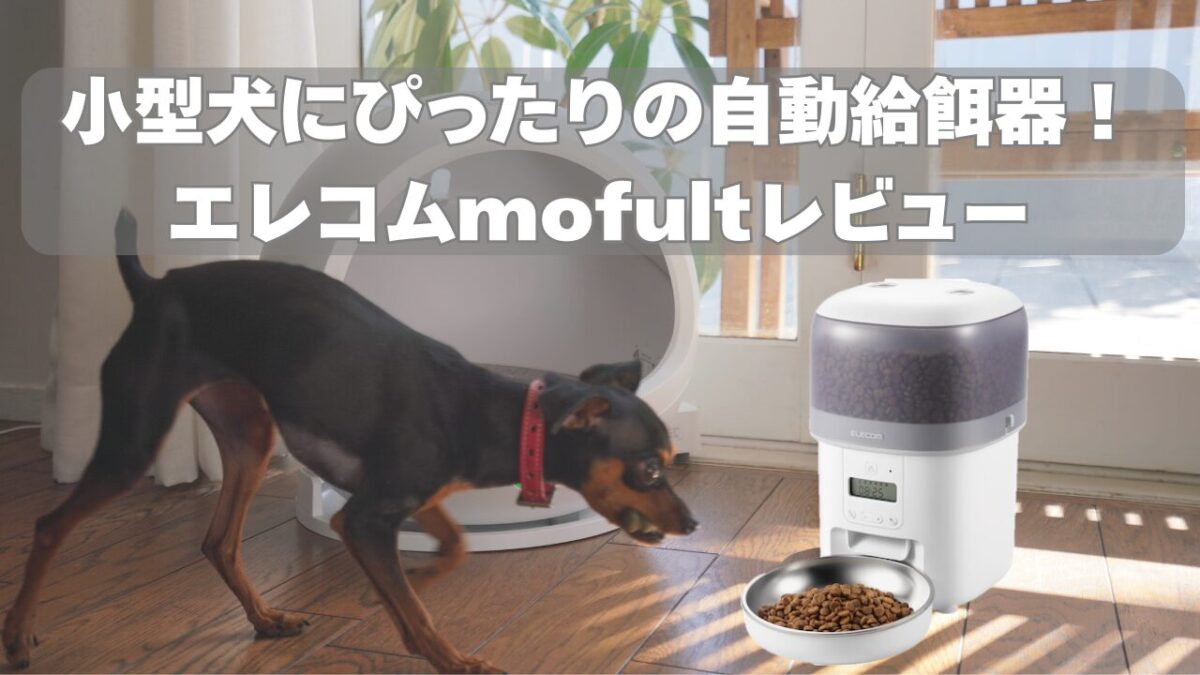 小型犬にぴったりの自動給餌器！エレコムmofultレビュー｜外出時も安心